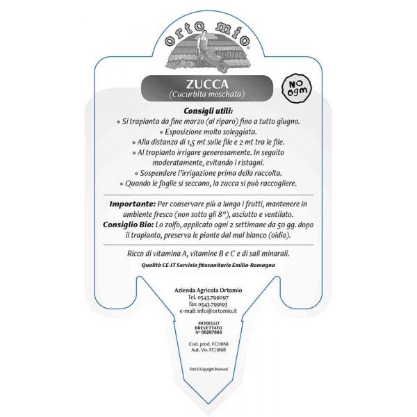 istruzioni zucca-violina-8021849005645