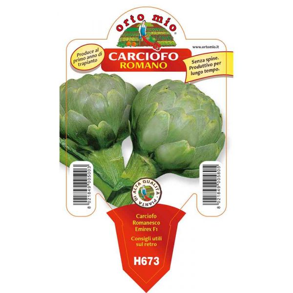 carciofo-romano-verde-adamo-8021849005805