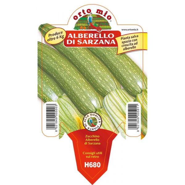 zucchino-alberello-di-sarzana-8021849005911