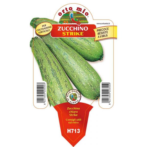 zucchino-chiaro-da-palo-strike-8021849003559