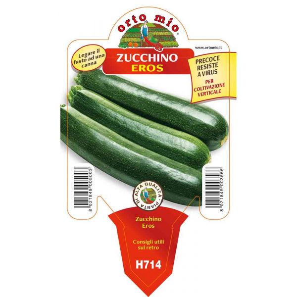 zucchino-scuro-da-palo-eros-8021849003566