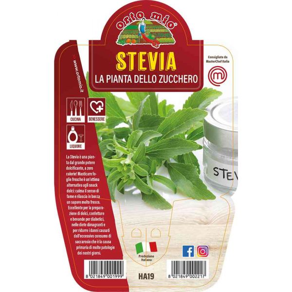 stevia-pianta-dello-zucchero-8021849002217
