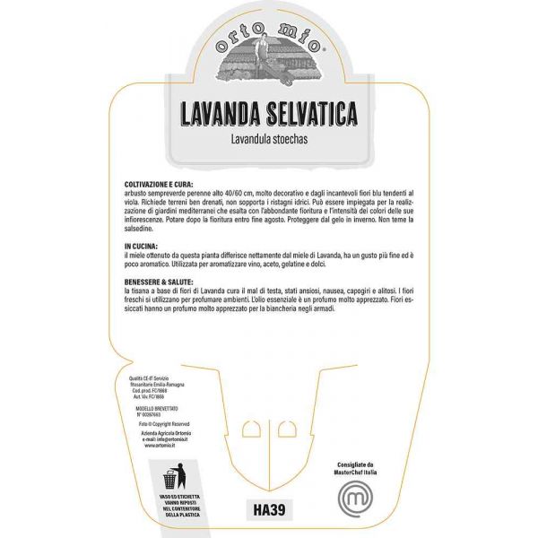 istruzioni lavanda-stoechas-8021849002392