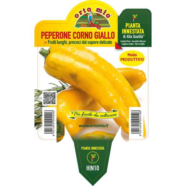 peperone-innestato-corn.giallo-iside-8021849004198