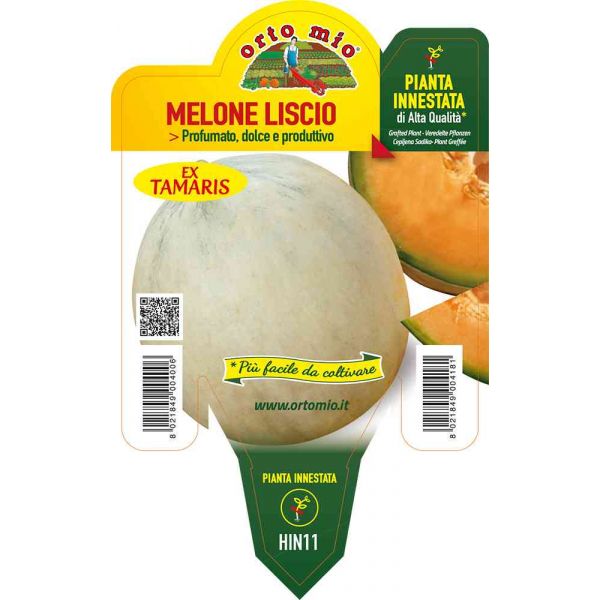 melone-innestato-liscio-iago-tamaris-8021849004181