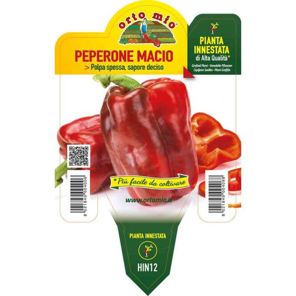 peperone-innestato-rosso-macio-8021849004068