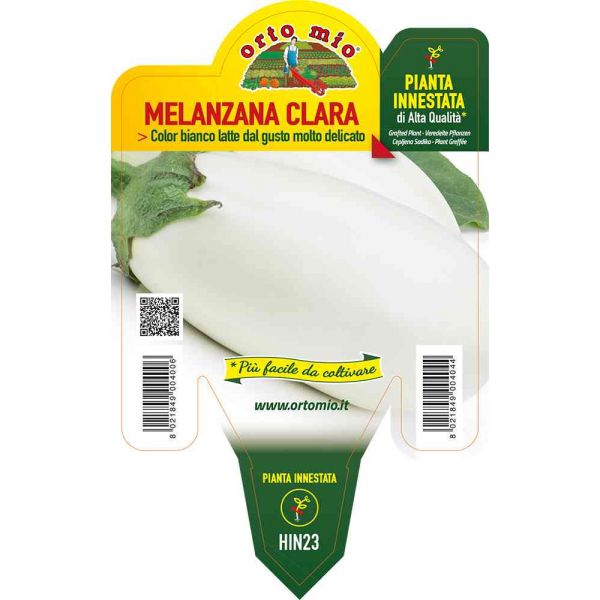 melanzana-innestato-bianca-clara-8021849004044
