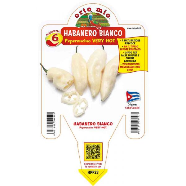 peperoncino-habanero-bianco--very-hot-8021849004471