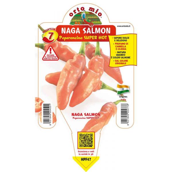 peperoncino-naga-morich-salmone-super-hot-8021849004778