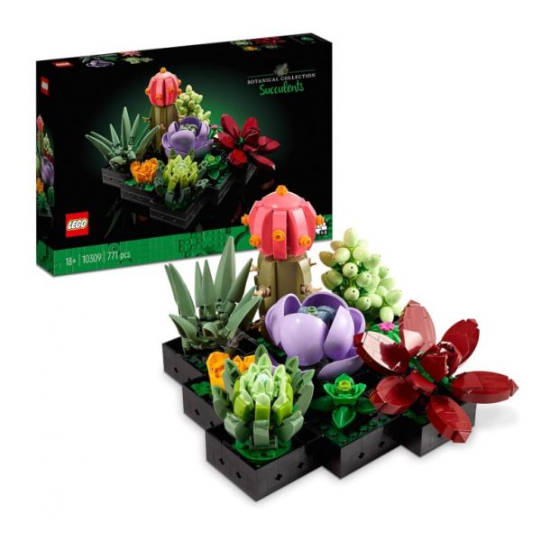 10309 Flowers Succulente
