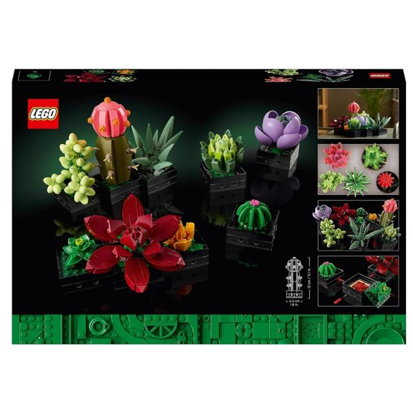 10309 Flowers Succulente