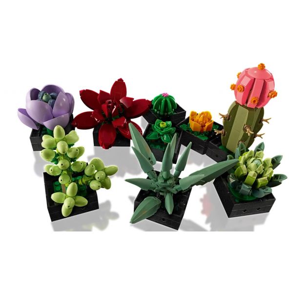 10309 Flowers Succulente