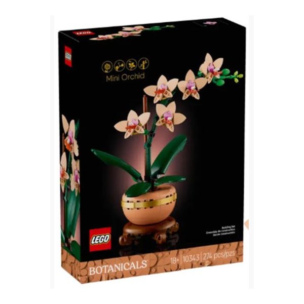 10343 Mini orchidea