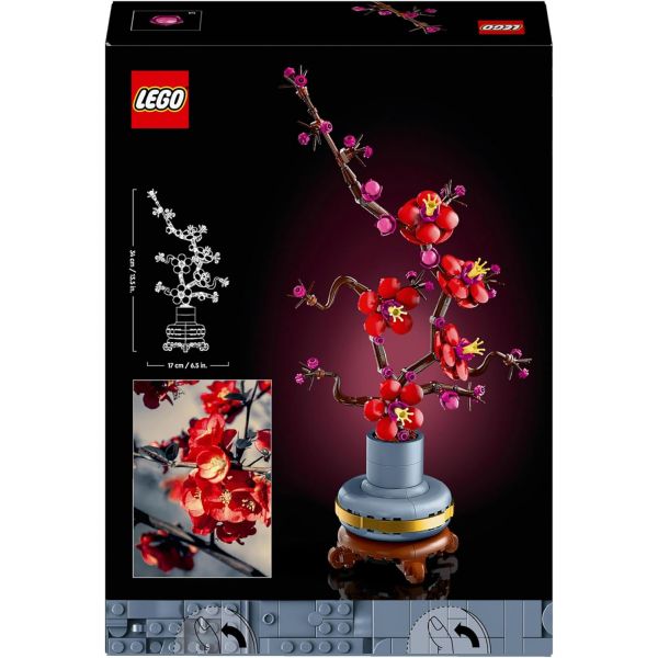 10369 Flowers Albicocco Giapponese