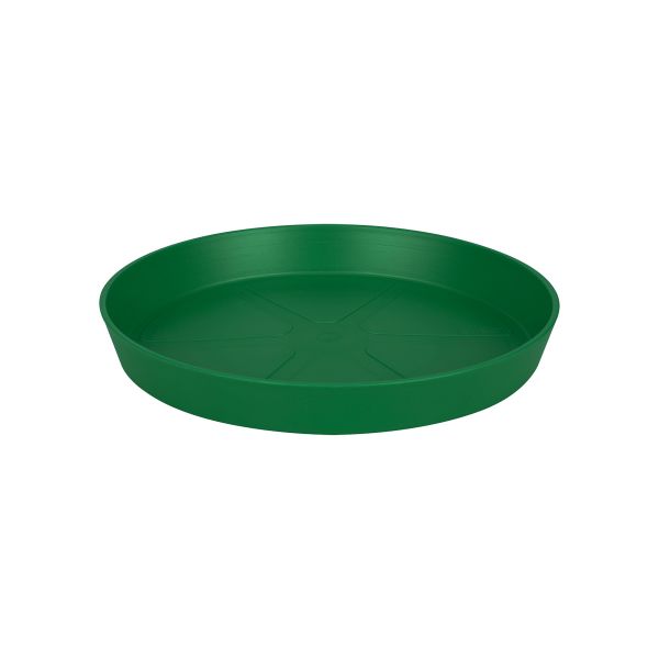Loft Saucer Round 24 Lush Green vaso