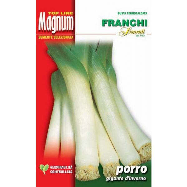 Porro-geant-d'hiver-2-Magnum