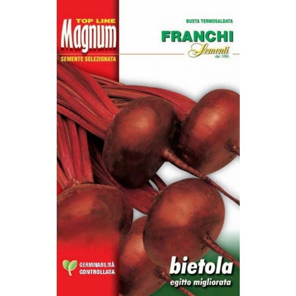 Bietola-da-o-Egitto-miglior-Magnum