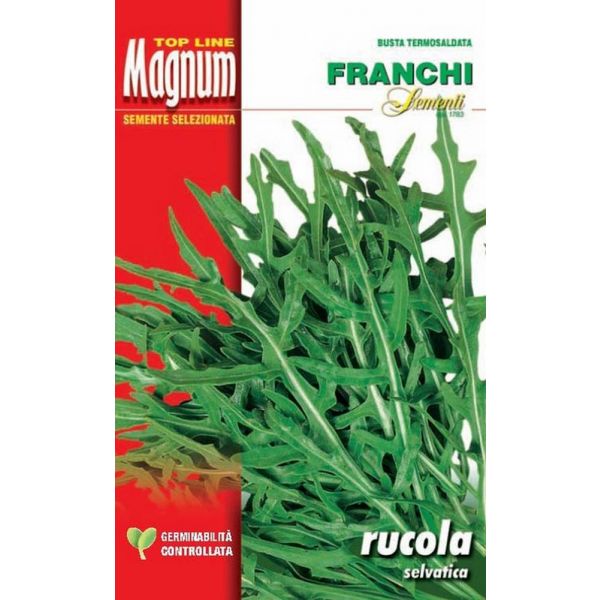 Rucola-selvatica-Magnum