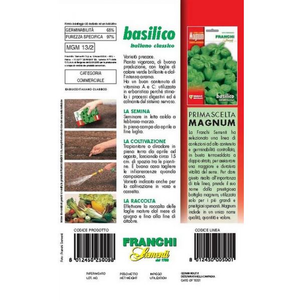 Basilico-italiano-Classico-Magnum-retro