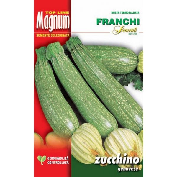 Zucchino-genovese-Magnum