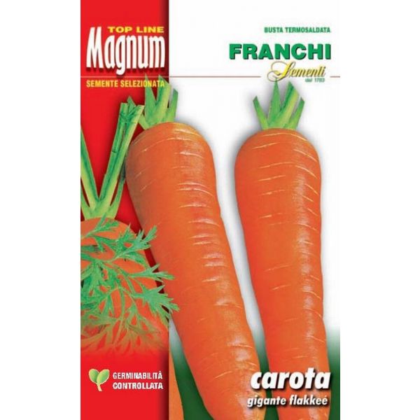 Carota-flakkee-Magnum