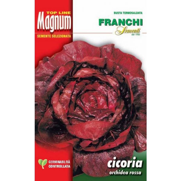 Cicoria-orchidea-rossa-Magnum