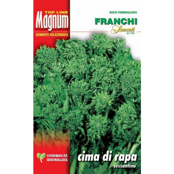 Cima-di-rapa-60-Magnum