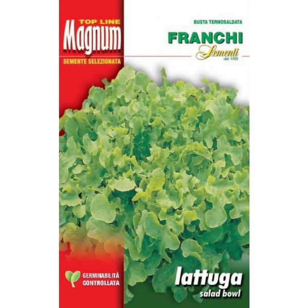 Lattuga-salad-bowl-Magnum