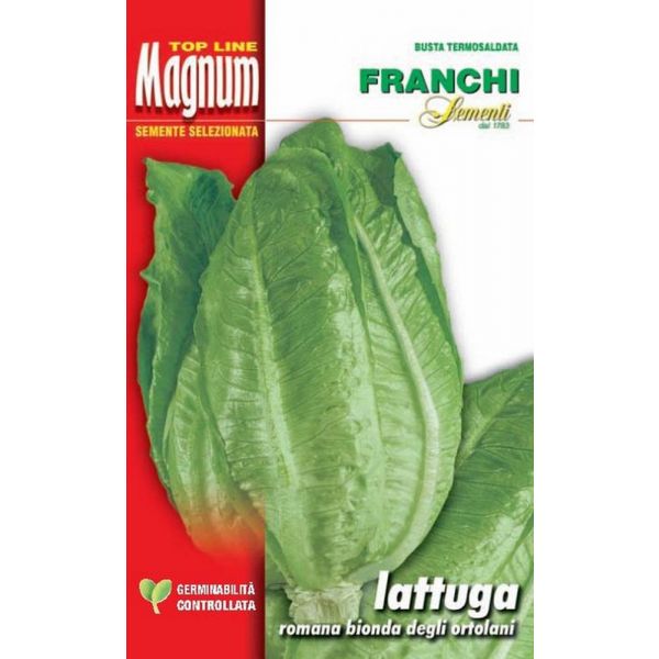 Lattuga-rom-bionda-ortolani-Magnum