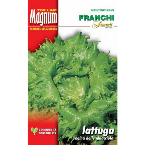 Lattuga-regina-ghiacci-Magnum