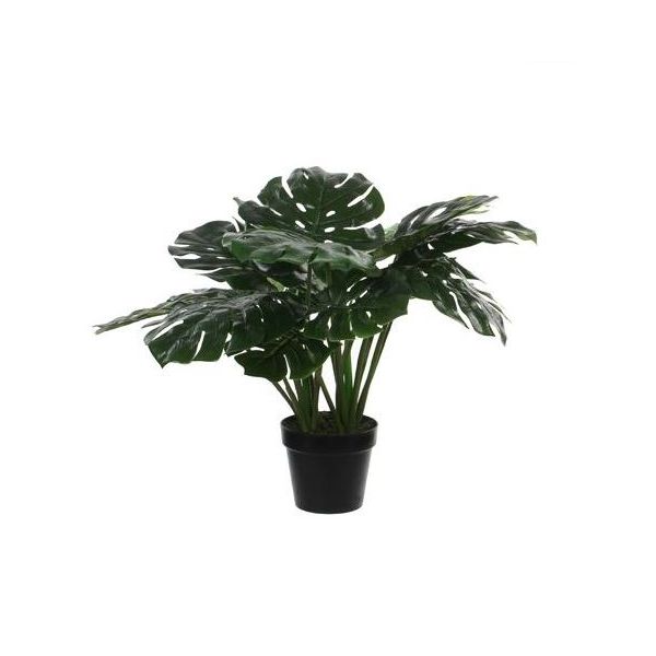 Monstera artificiale cm. 60 