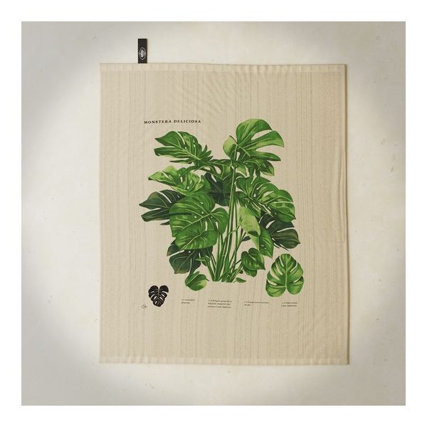 Strofinaccio Monstera Agricola