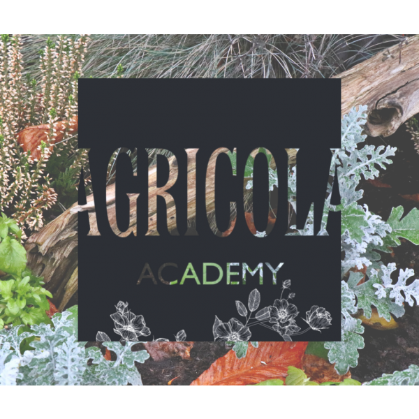 Agricola Academy | Il Natale ovunque 