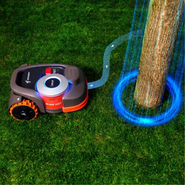 visio-fence-segway-3
