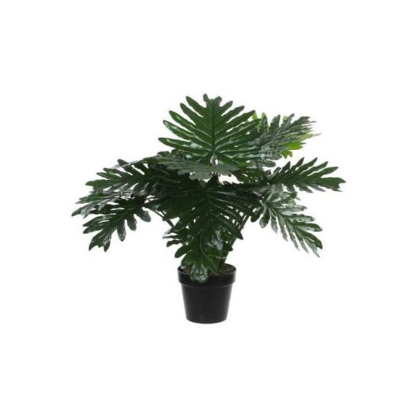 Philodendron artificiale cm. 60