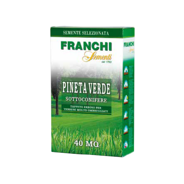 franchi-sementi-pineta-verde-sottoconifere