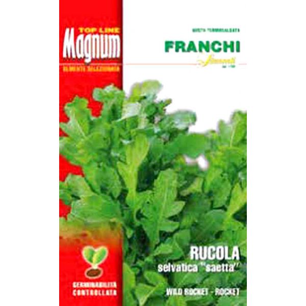 rucola-selvatica-magnum-franchi-sementi