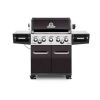 bbq-broilking-regal-590