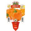 peperone-arancione-oregon-8021849005584
