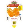 peperoncino-habanero-arancione-very-hot-8021849004396