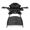 q2200-con-stand-weber-bbq