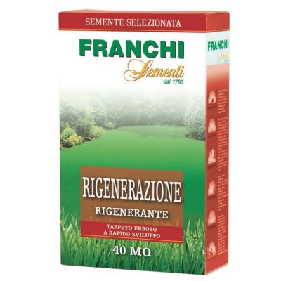 Semi per prato Rigenerazione | Lolium 1 kg