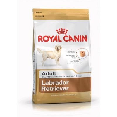 Royal canin labrador retriever secco cane kg. 12