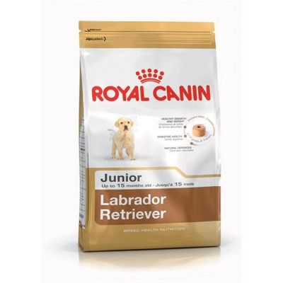 Royal canin labrador retriever junior secco cane kg. 3