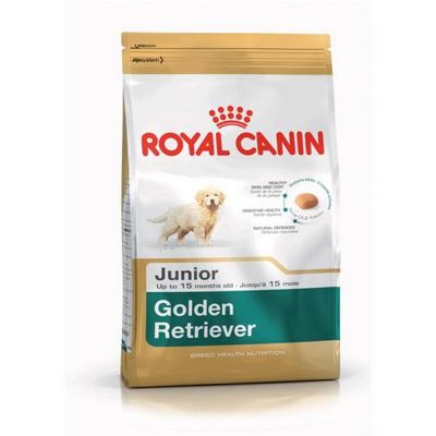 Royal canin golden retriever junior secco cane kg. 12