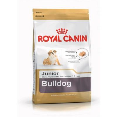 Royal canin bulldog inglese junior secco cane kg. 12