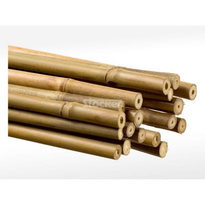 Reggipiante bamboo cm. 210