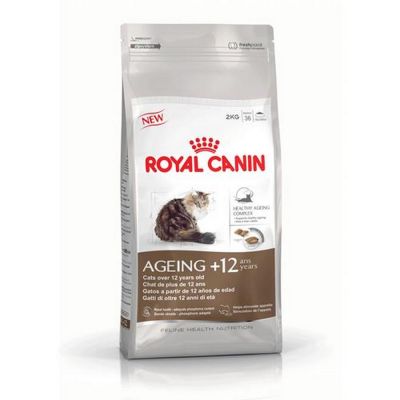 Royal canin ageing +12 secco gatto kg. 2