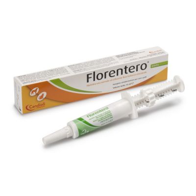 Florentero pasta 15ml