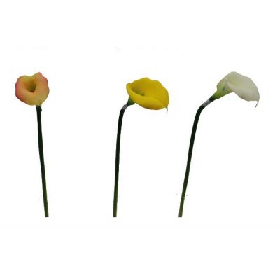 Single calla lily (l)